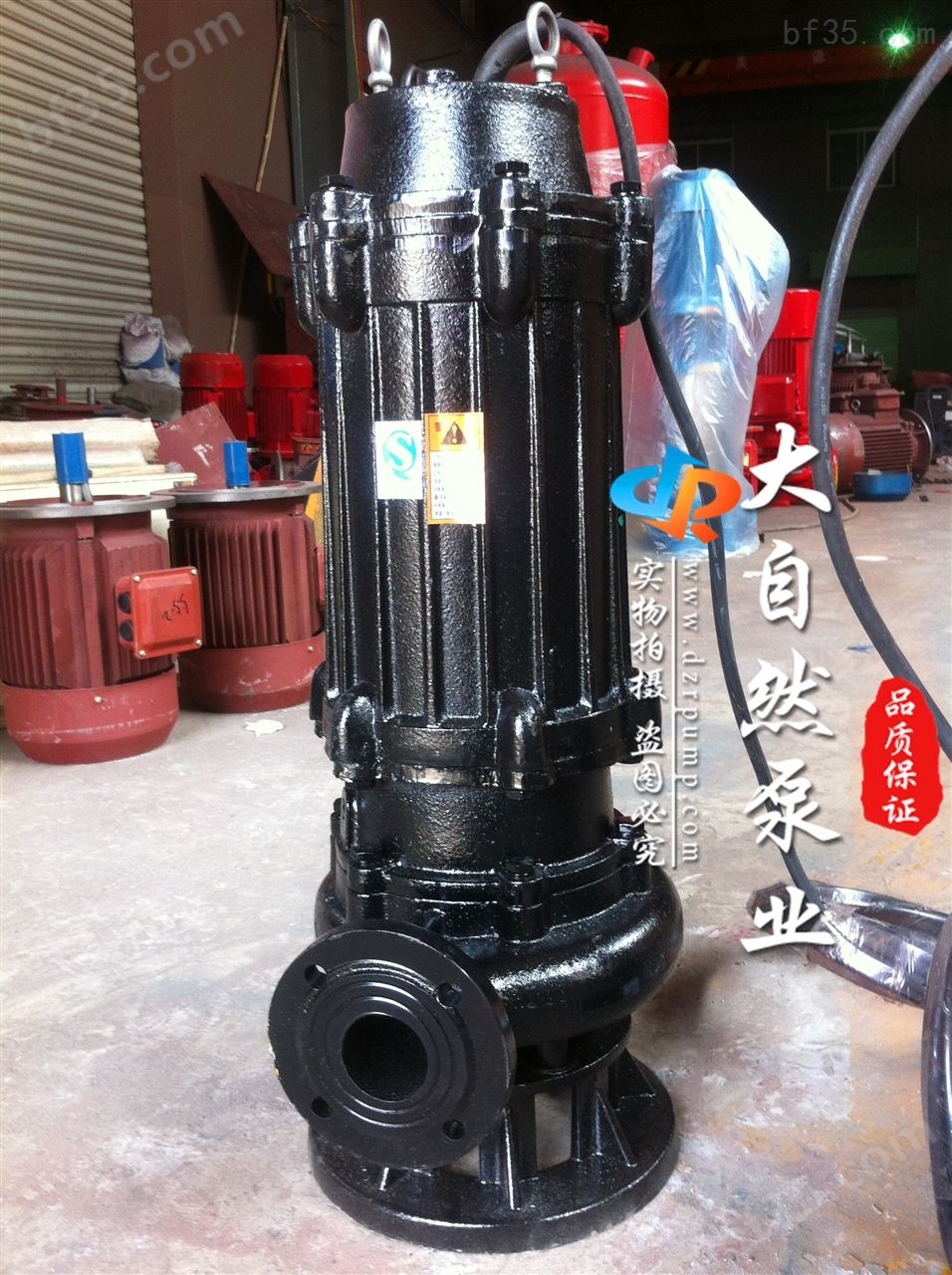 供应200QW400-10-22直立式排污泵 排污泵价格 自动搅匀排污泵