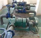 新疆转子泵厂家出售污泥提升泵