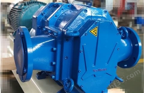 凸轮转子泵污水提升系统