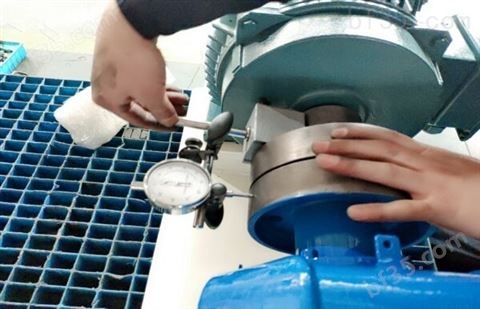 凸轮转子泵-污水提升系统