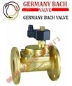 进口活塞式蒸汽电磁阀-德国BACH工业制造