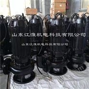 大中小型便携式潜水污泥泵3-132KW
