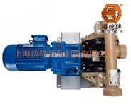 DN50或DN65口径全氟材质电动隔膜泵