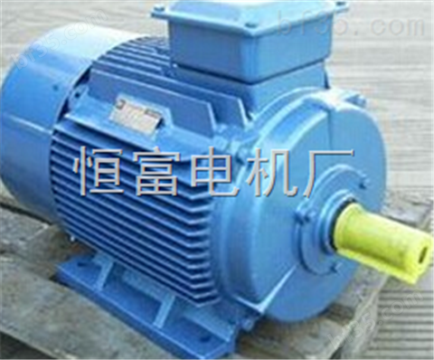 *生产Y2-315S-4-110KW电动机