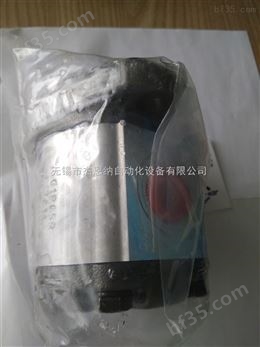 中国台湾HONOR油泵1GG1P05R