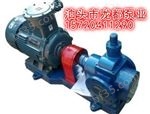YCB25-0.6圆弧齿轮泵/YCB圆弧泵/增压泵/润滑油泵头