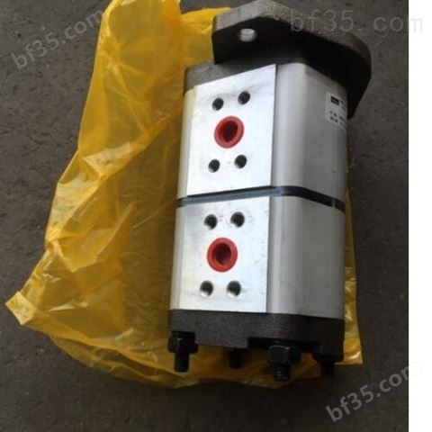 中国台湾叶片泵 海德信HDX双联齿轮泵