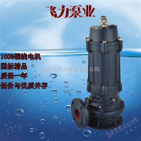 台州潜水泵中国好货源高效节能 飞力泵业
