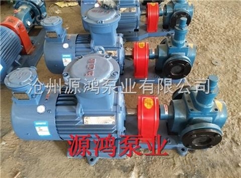 源鸿泵业供应YCB5-0.6圆弧齿轮泵，车载输油泵