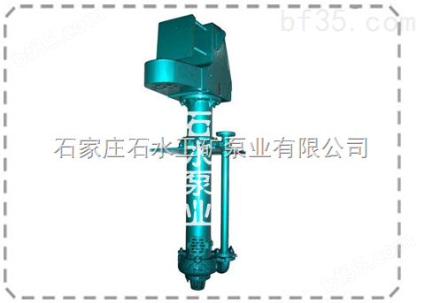 300TV-SP（R）耐磨液下泵,液下泵结构图