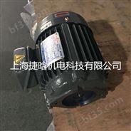 中国台湾群策内插式油泵电机