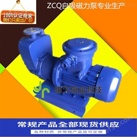 ZCQ型强酸碱化工磁力泵