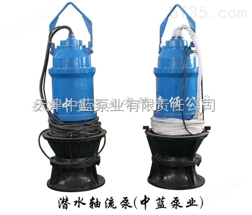 天津泵厂供应城市排水轴流泵 预防洪涝泵