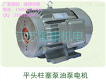 CY14-1D*产品 CY14-1D平头油泵电机