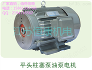 *产品 CY14-1D平头油泵电机