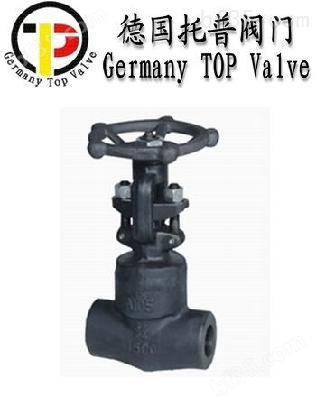 德国进口高压闸阀-德国托普进口品牌