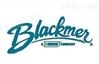 BLACKMER泵